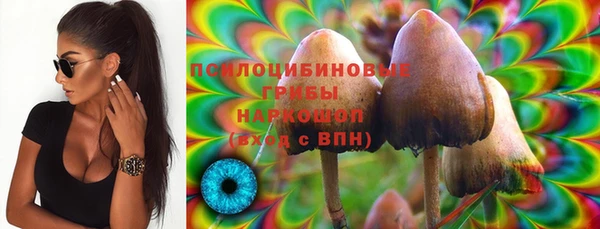 a pvp Магадан
