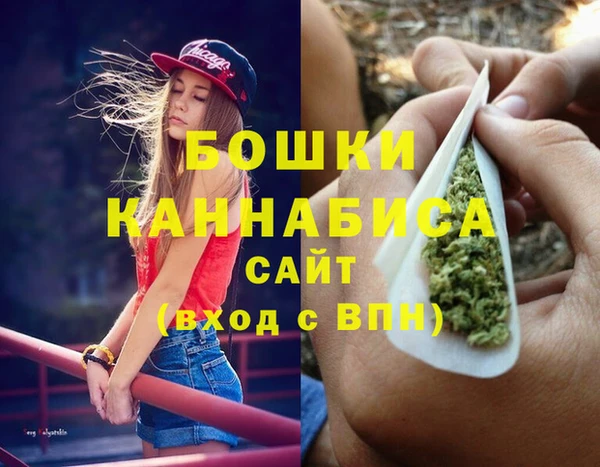 сатива Магас