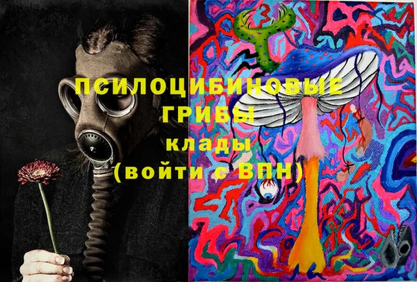 сатива Магас