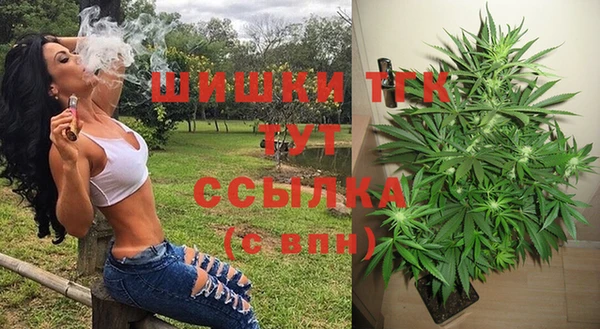 сатива Магас