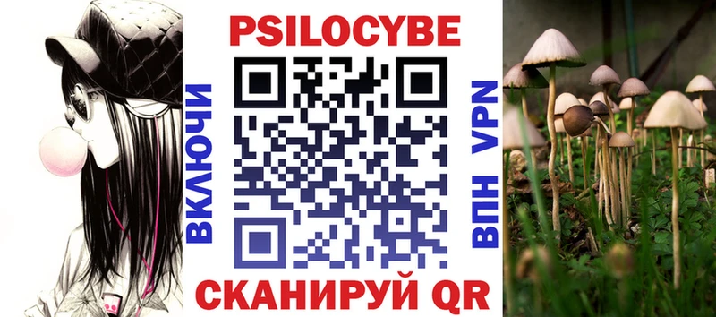 Псилоцибиновые грибы MAGIC MUSHROOMS  Купить закладки  Новокубанск 